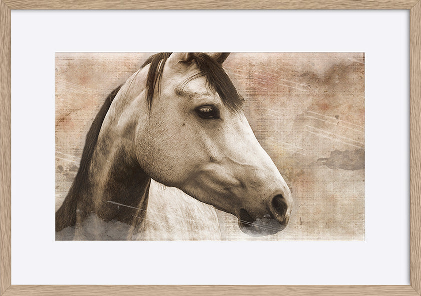 paper_frame