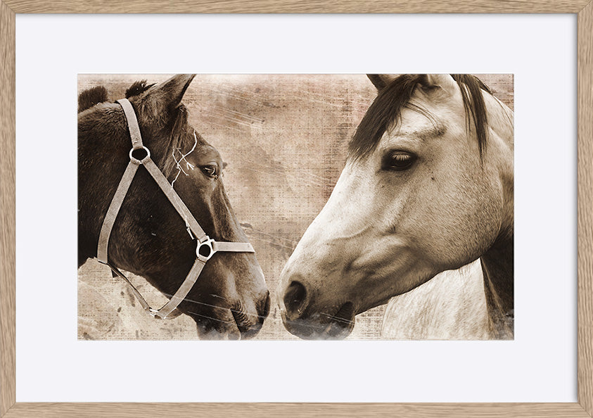 paper_frame