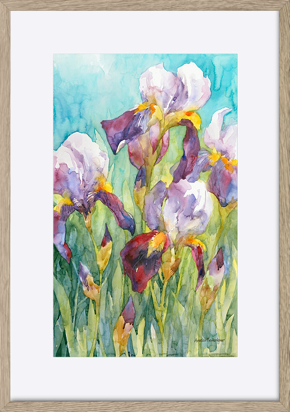paper_frame