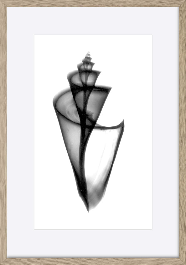 paper_frame