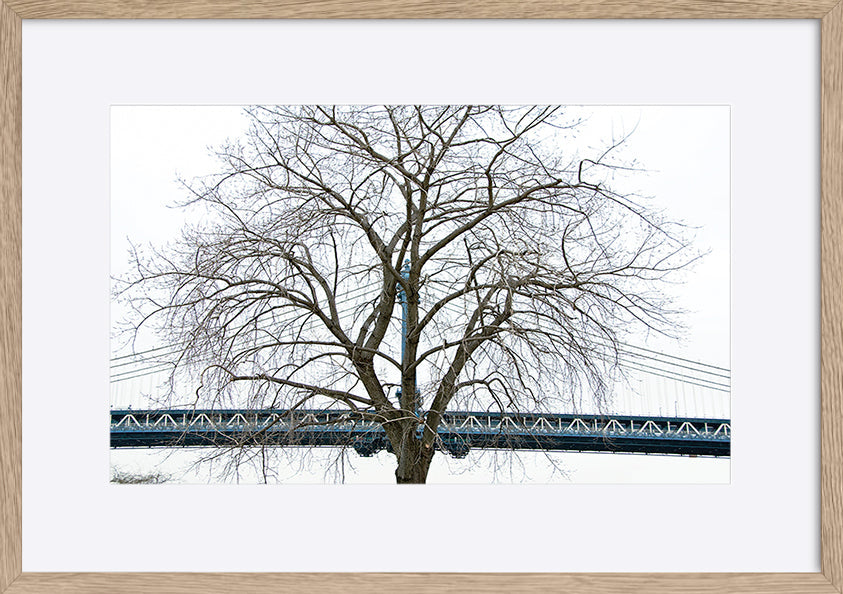 paper_frame