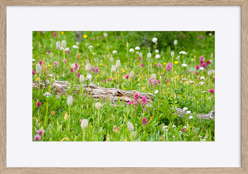 paper_frame