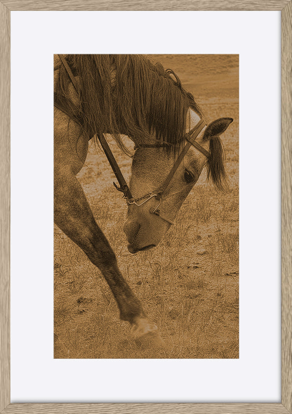 paper_frame