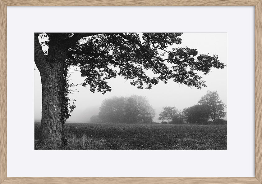 paper_frame