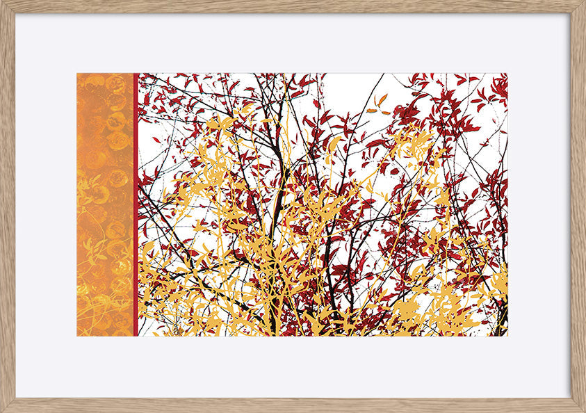 paper_frame