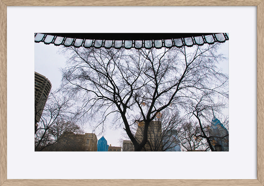 paper_frame