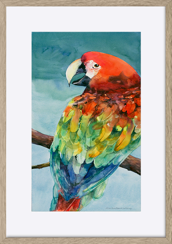 paper_frame