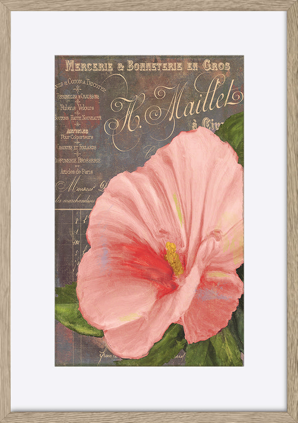 paper_frame