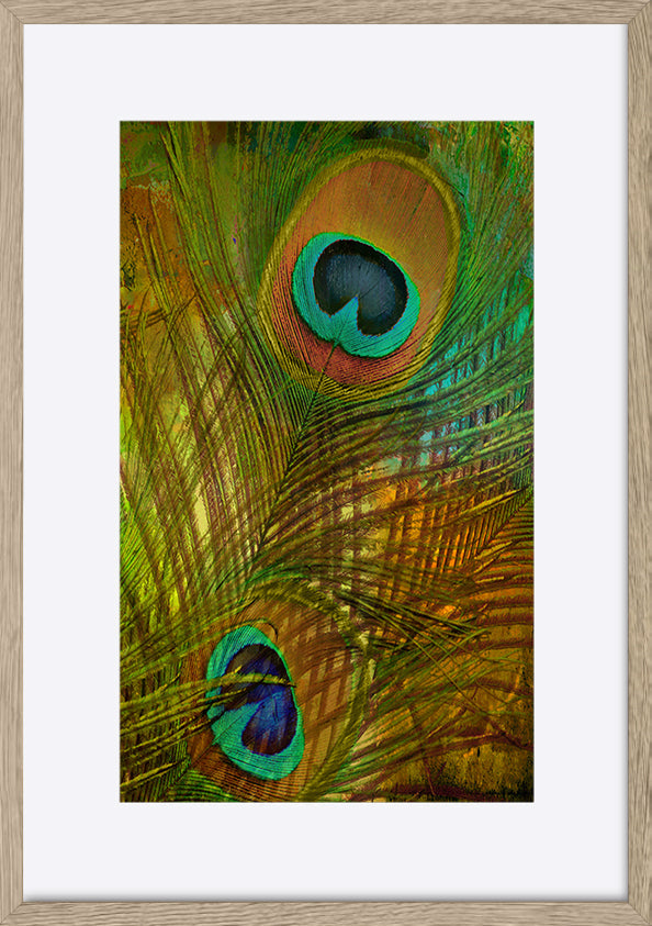 paper_frame