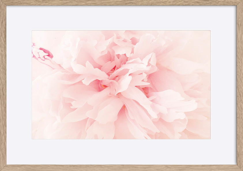 paper_frame