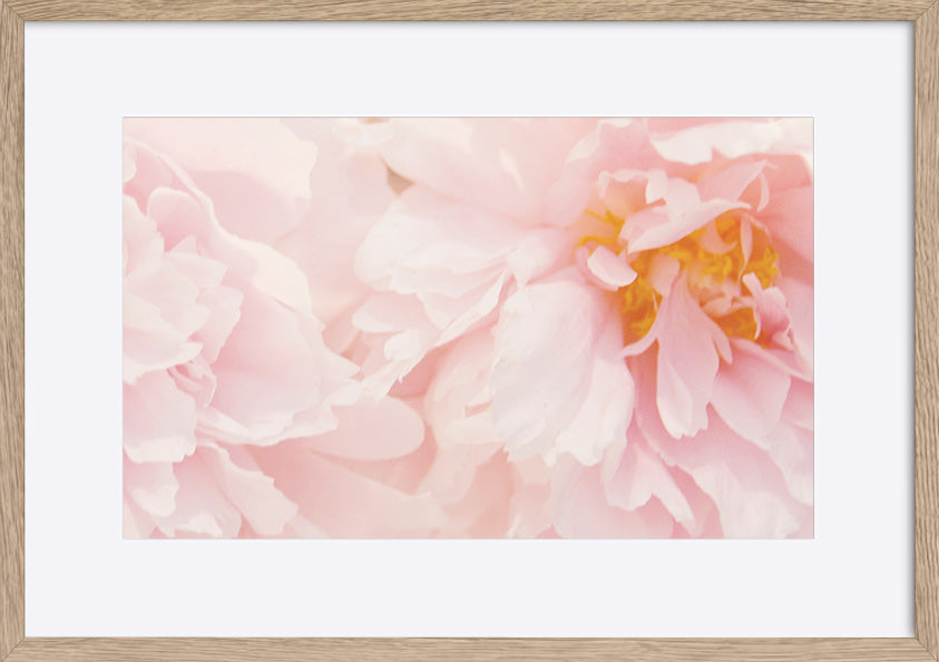 paper_frame