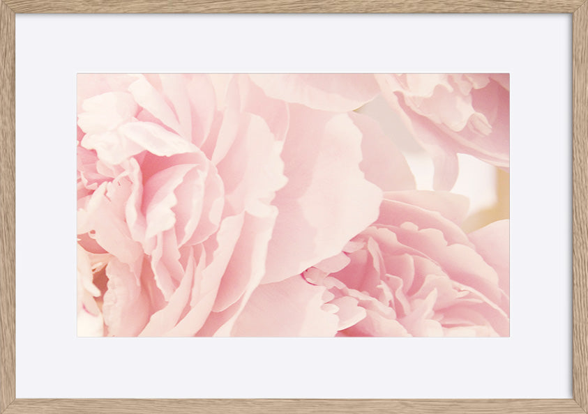 paper_frame