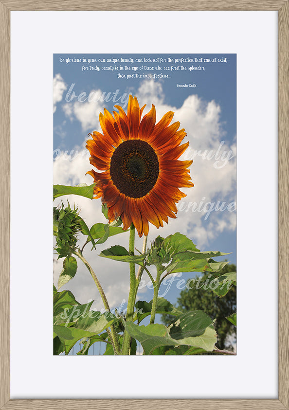 paper_frame