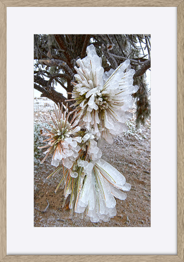 paper_frame