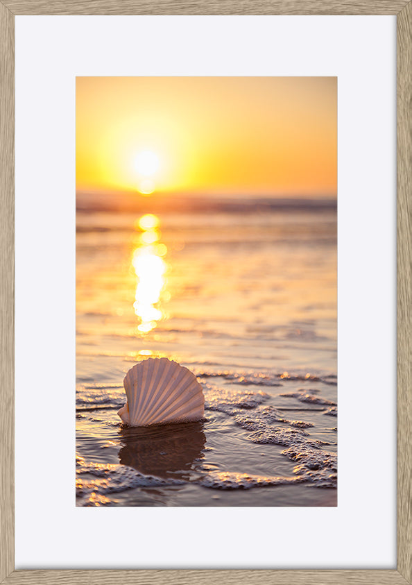 paper_frame