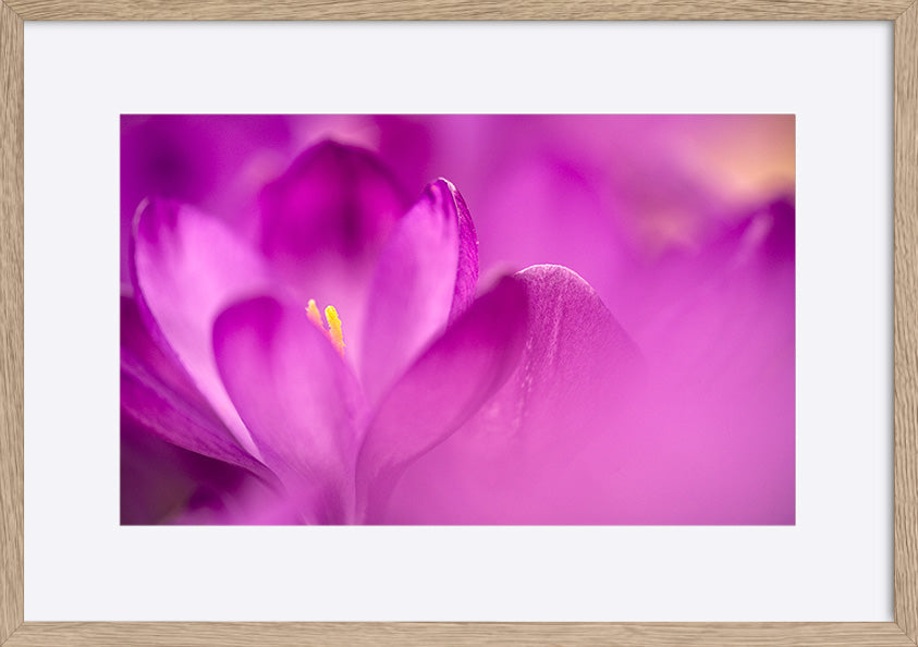 paper_frame