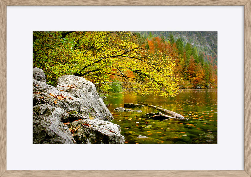 paper_frame