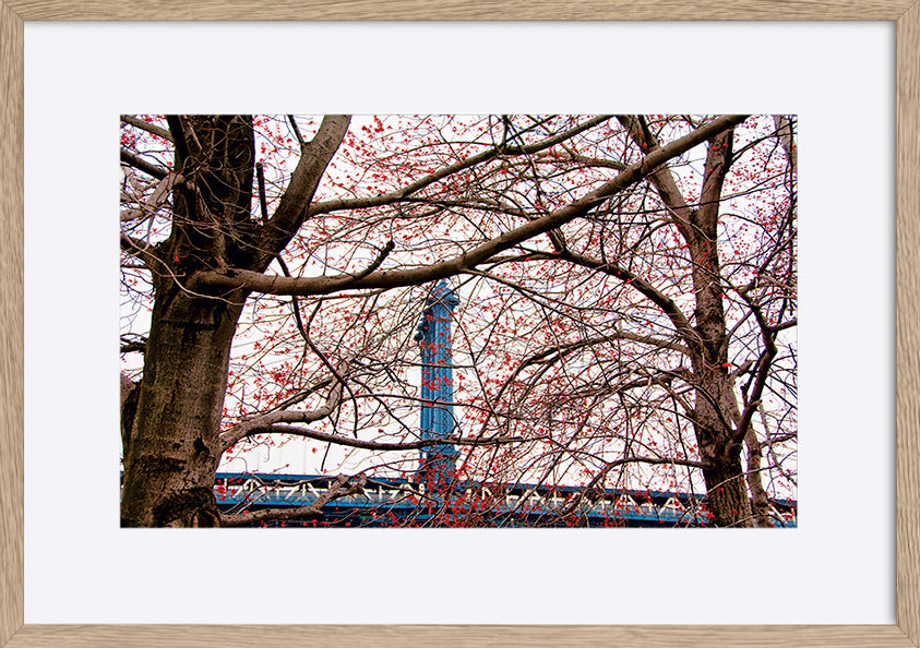 paper_frame