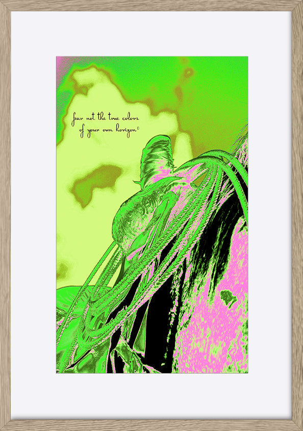paper_frame