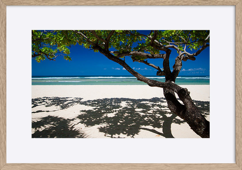 paper_frame