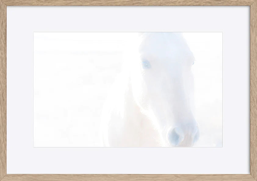 paper_frame