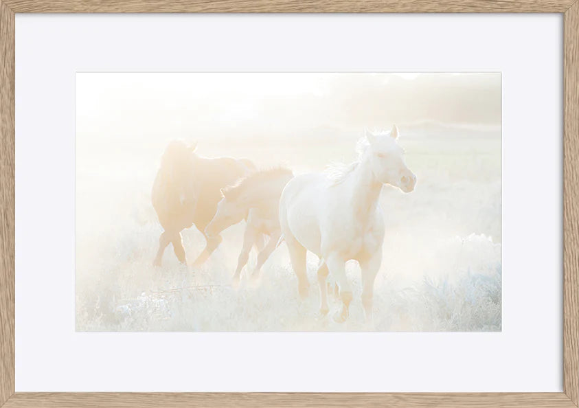 paper_frame