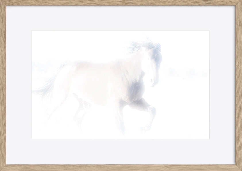 paper_frame