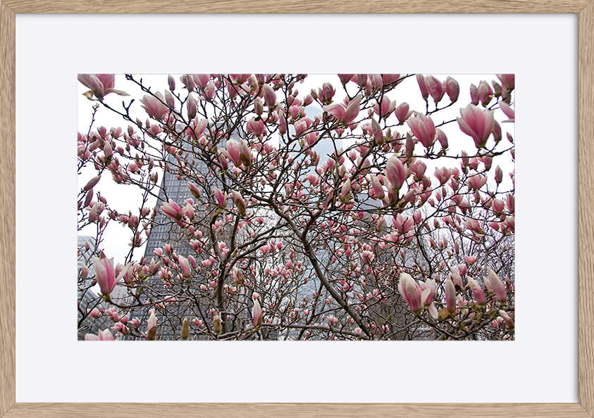 paper_frame