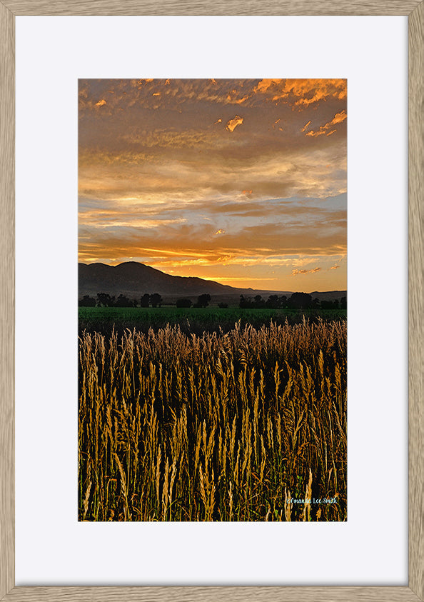 paper_frame