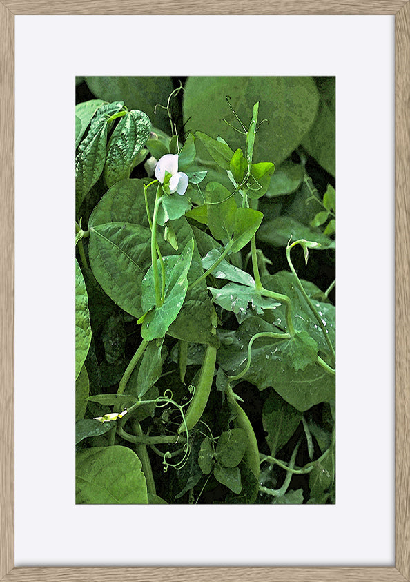paper_frame