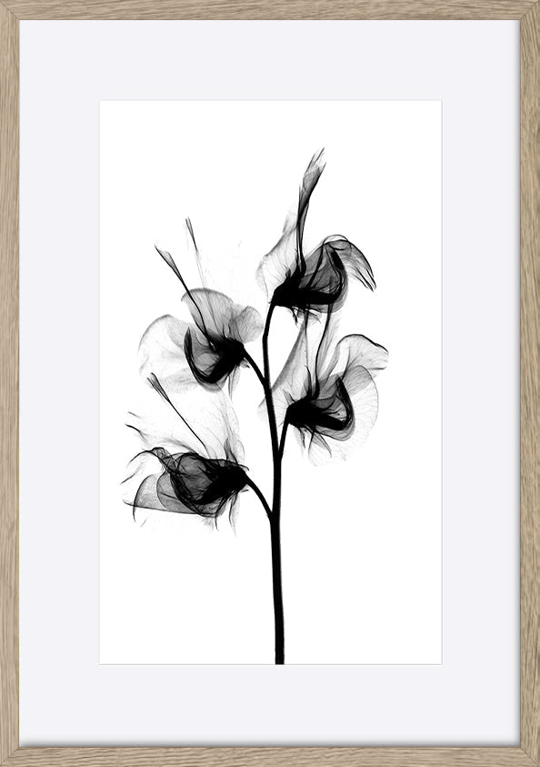 paper_frame