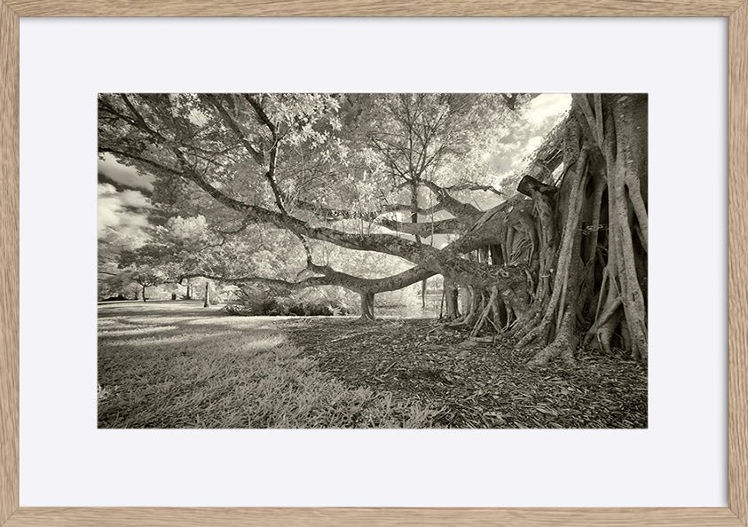 paper_frame