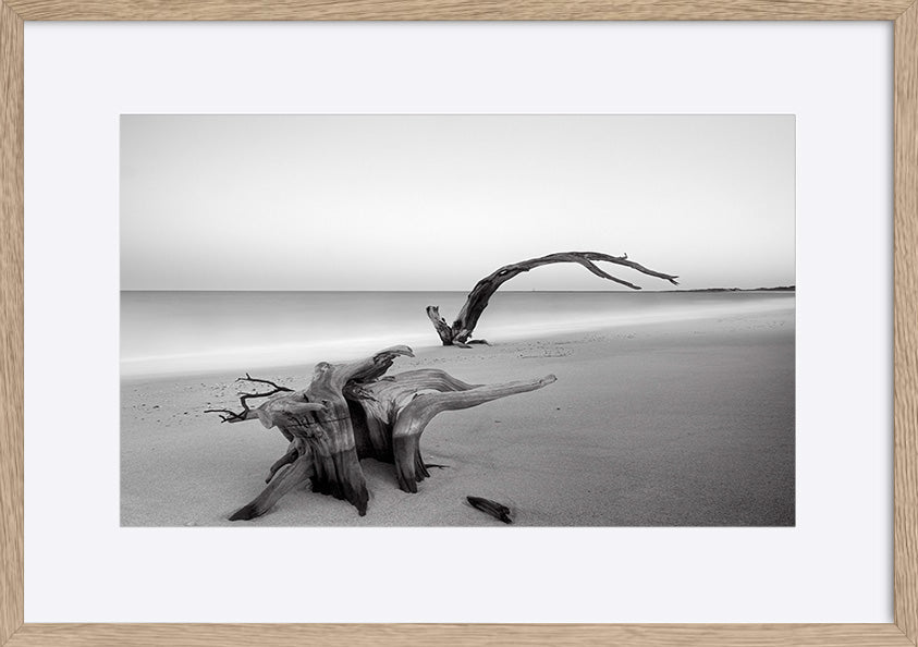 paper_frame