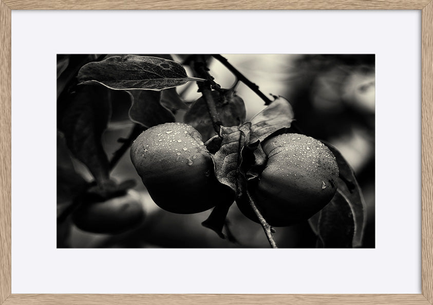paper_frame