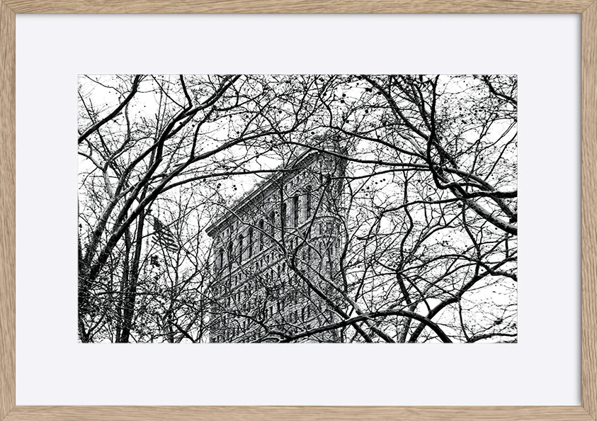 paper_frame