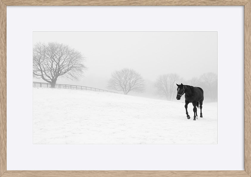 paper_frame
