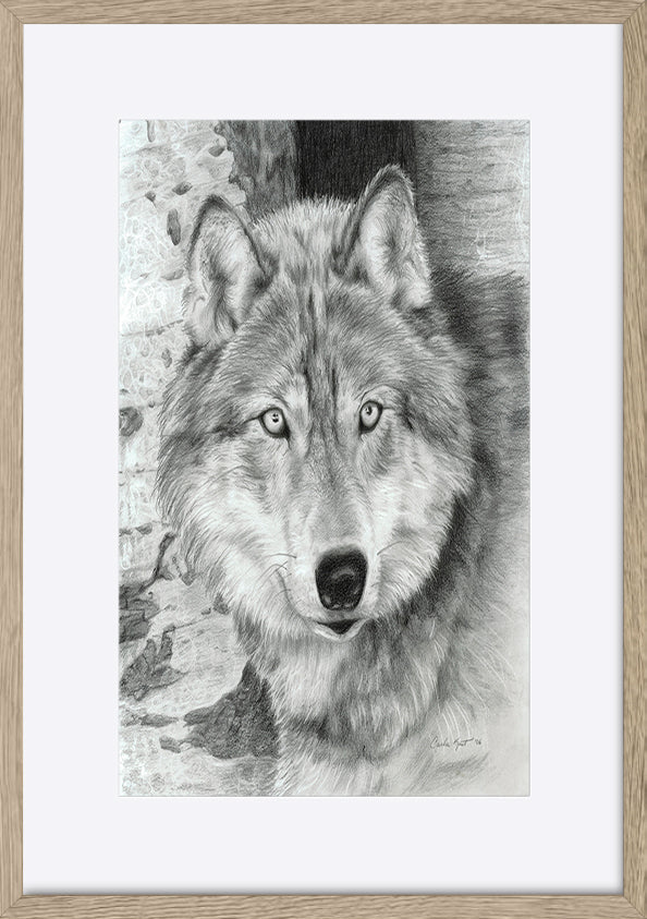paper_frame