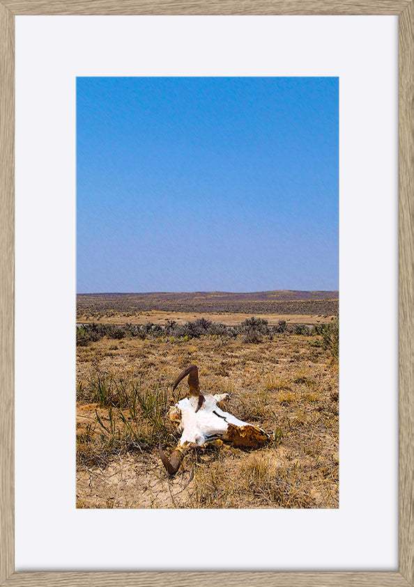 paper_frame