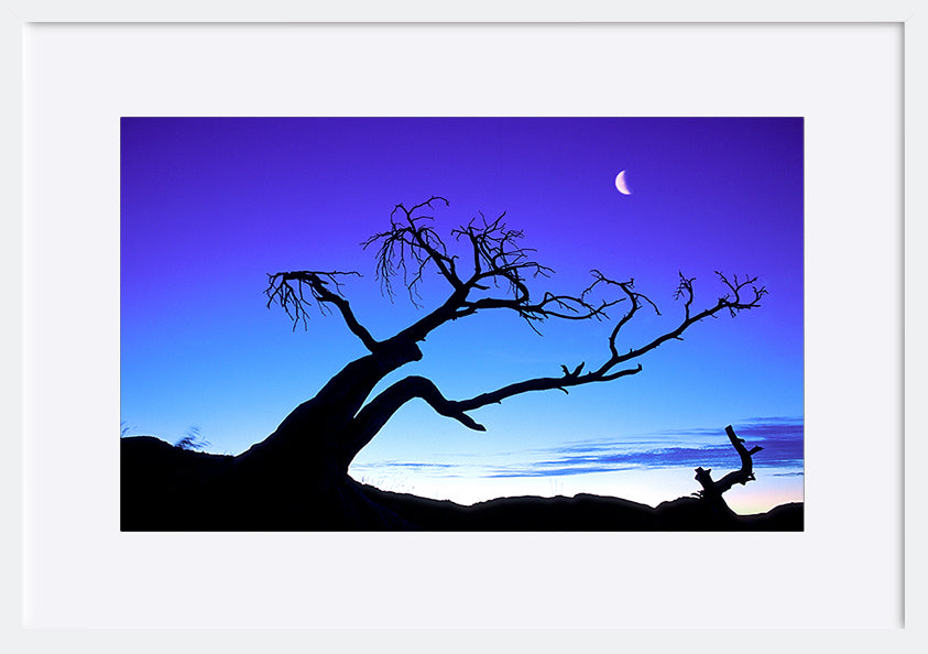 paper_frame