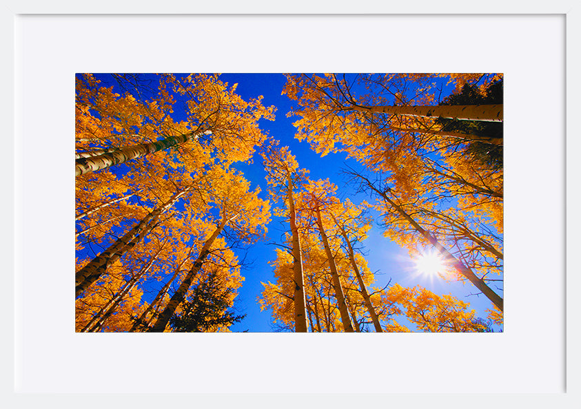 paper_frame