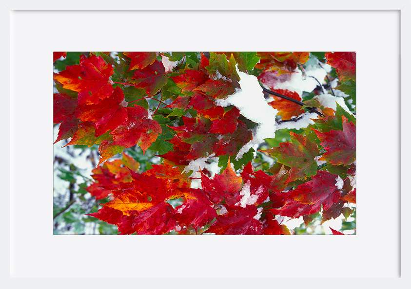paper_frame
