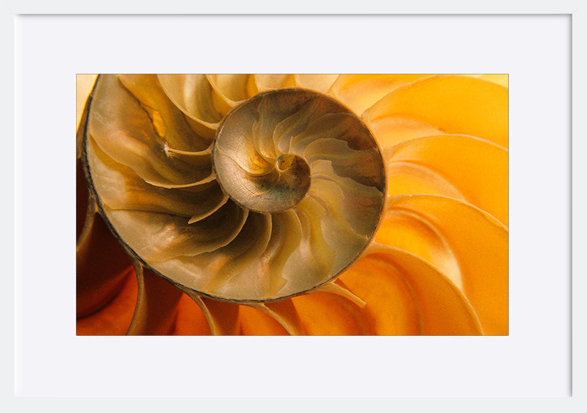 paper_frame