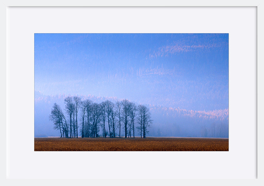 paper_frame