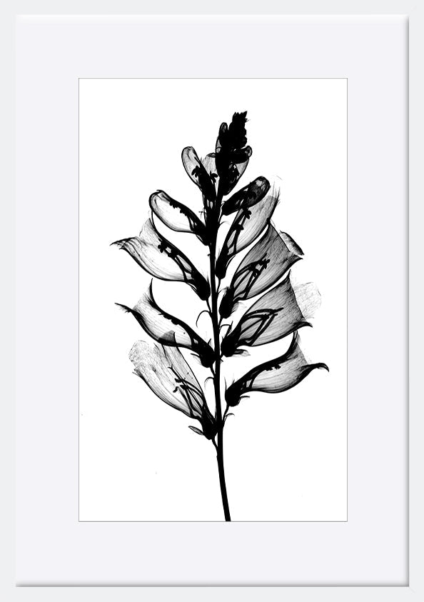 paper_frame