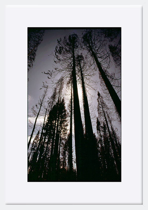 paper_frame