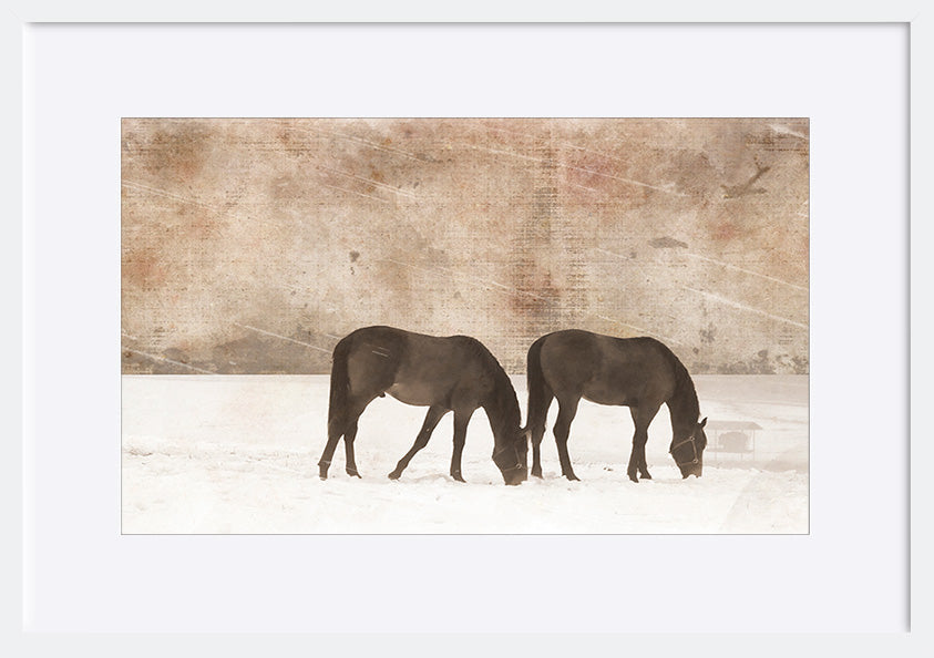 paper_frame