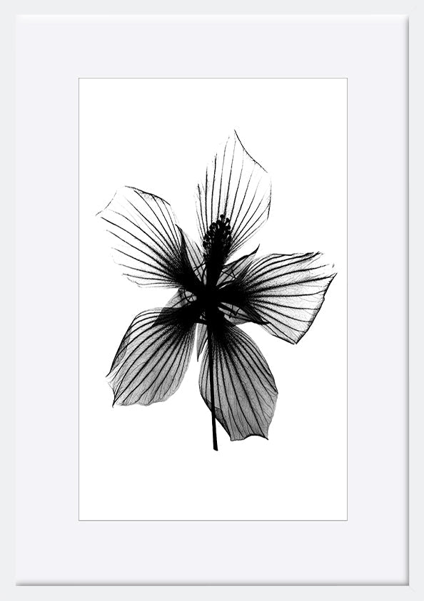 paper_frame