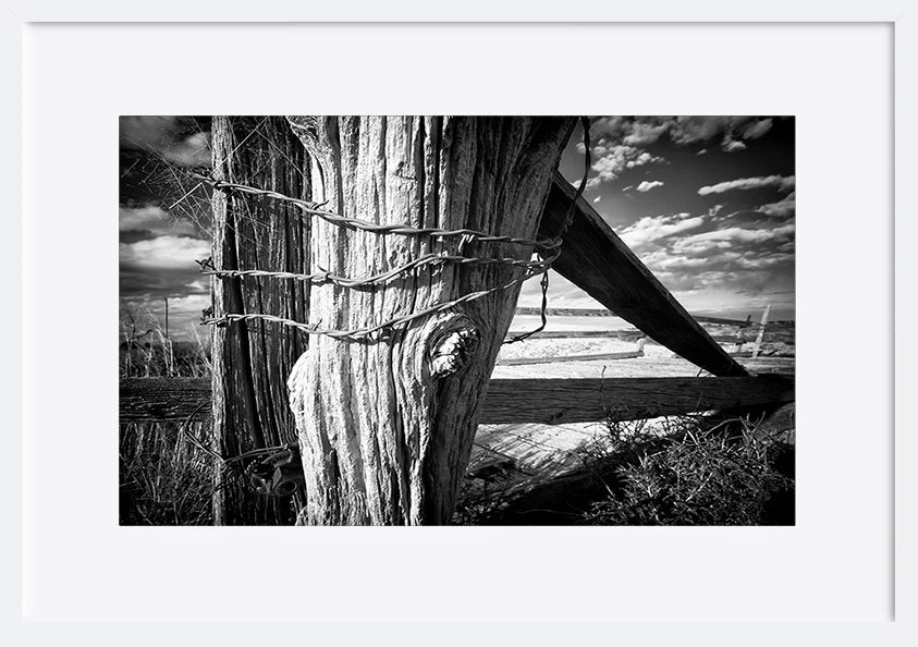 paper_frame