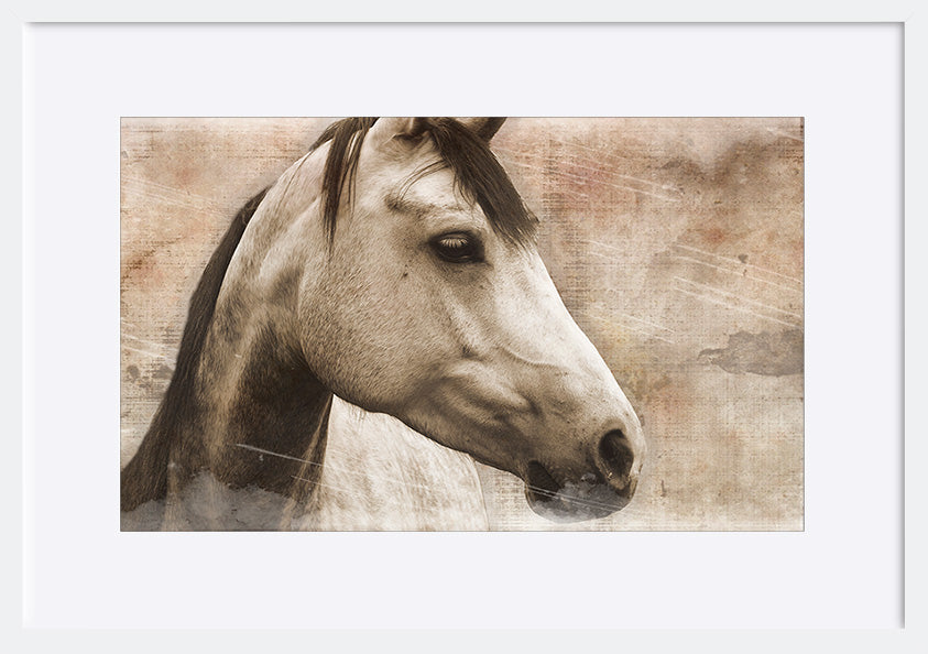 paper_frame