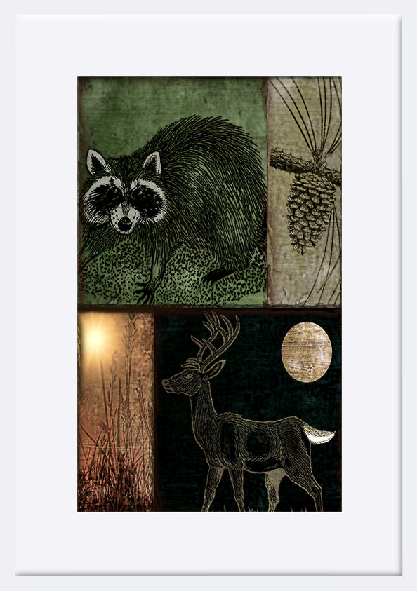 paper_frame